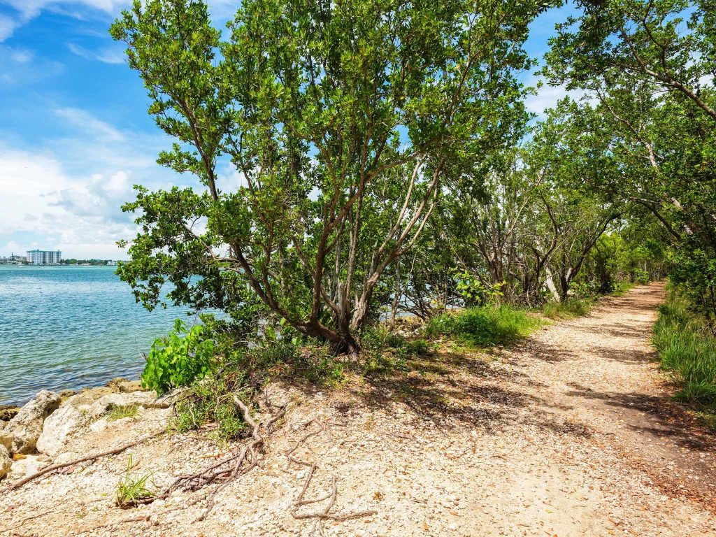 Are There Any Nature Trails Or Hikes Near Miami?