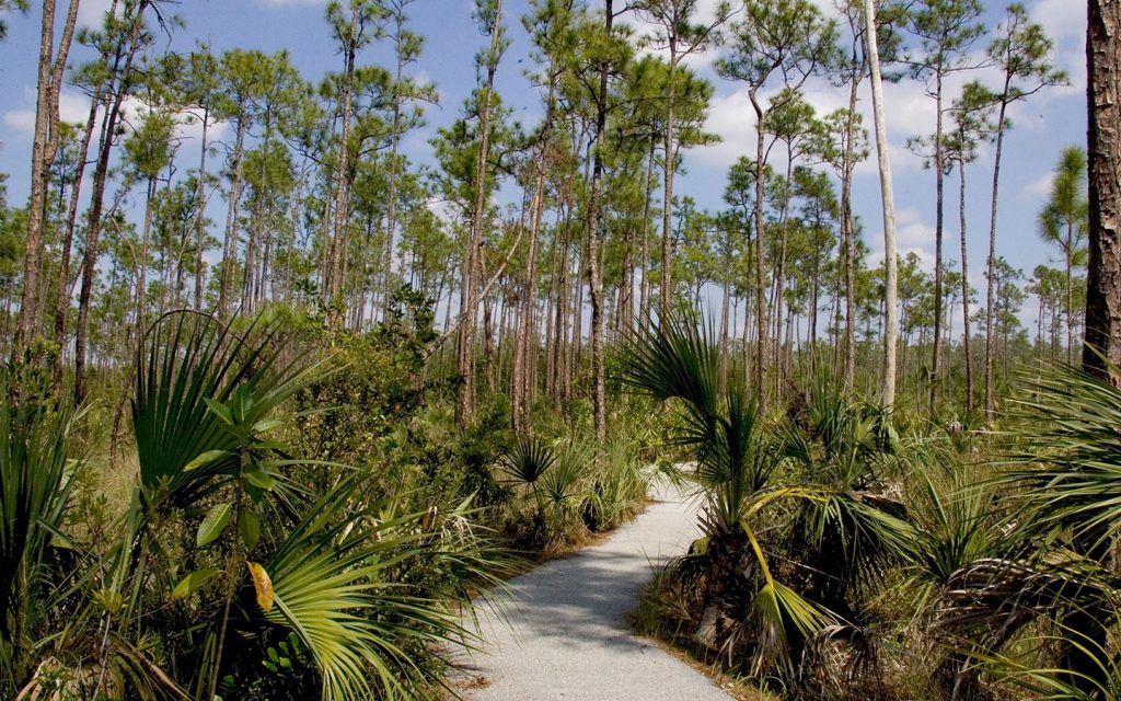 Are There Any Nature Trails Or Hikes Near Miami?