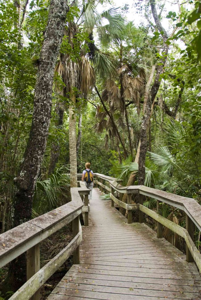 Are There Any Nature Trails Or Hikes Near Miami?