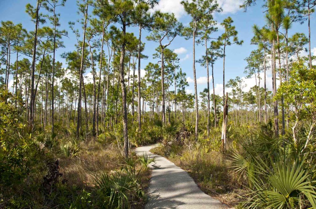 Are There Any Nature Trails Or Hikes Near Miami?