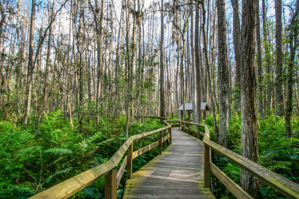 Are There Any Nature Trails Or Hikes Near Miami?