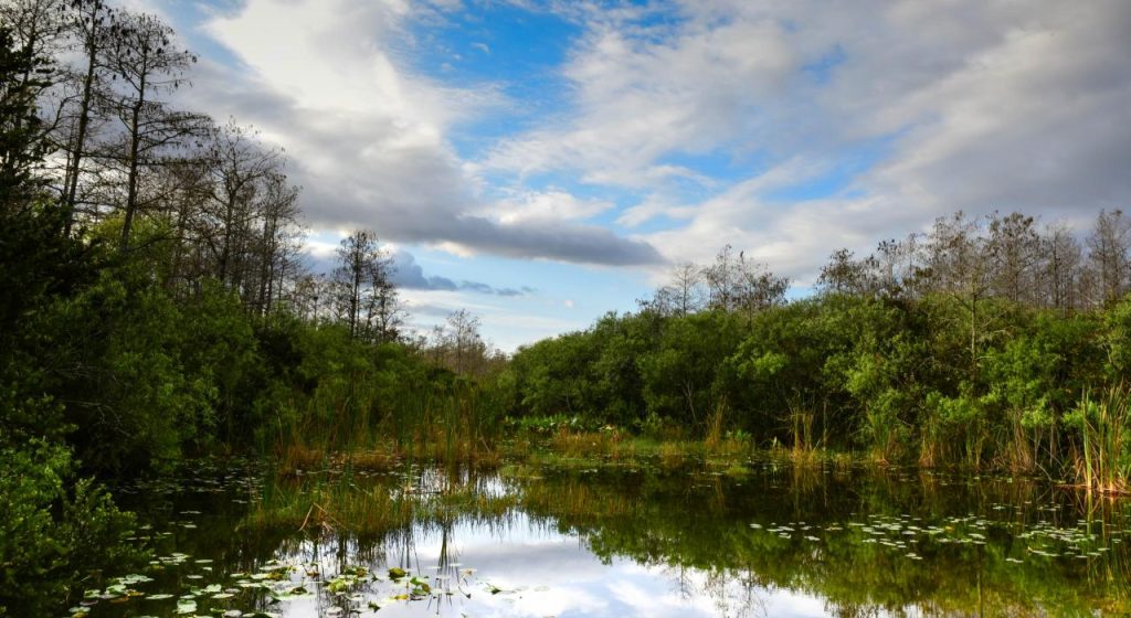 How Close Is The Everglades To Miami?