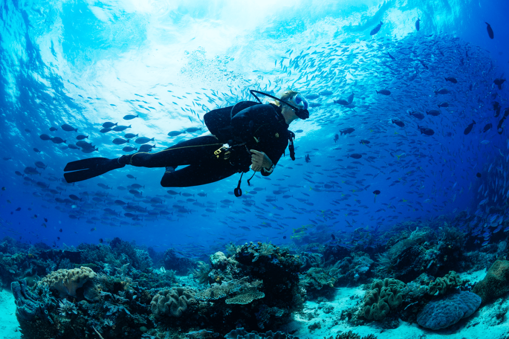 Is Snorkeling Or Scuba Diving Popular In Miami?