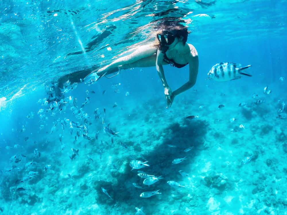 Is Snorkeling Or Scuba Diving Popular In Miami?