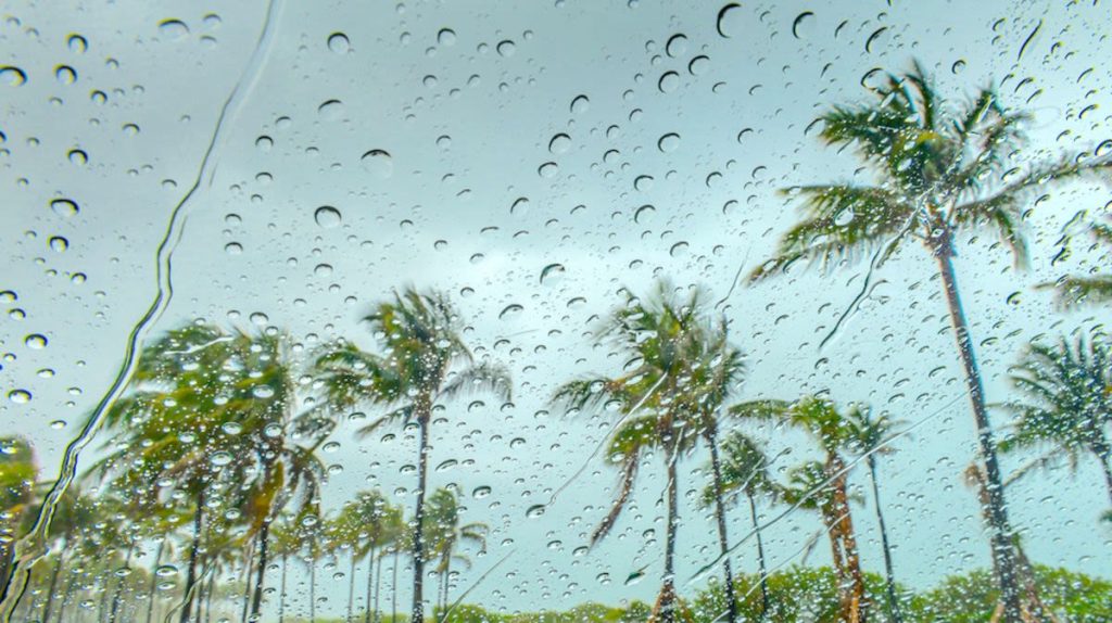 How Often Does It Rain In Miami?