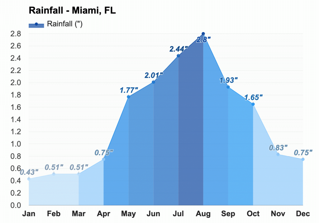 How Often Does It Rain In Miami?